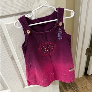 Purple and Pink Embroidered Dress